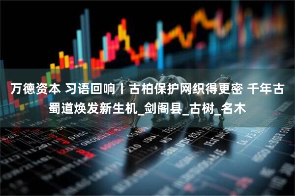 万德资本 习语回响丨古柏保护网织得更密 千年古蜀道焕发新生机_剑阁县_古树_名木