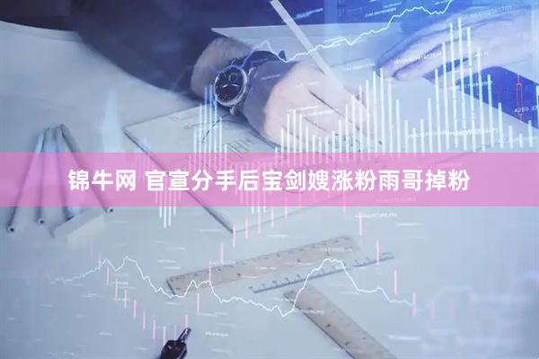 锦牛网 官宣分手后宝剑嫂涨粉雨哥掉粉
