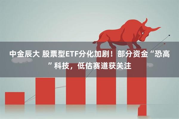 中金辰大 股票型ETF分化加剧！部分资金“恐高”科技，低估赛道获关注